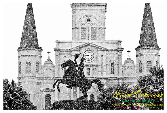 new_orleans_christmas_blizzard_jm_121108_006