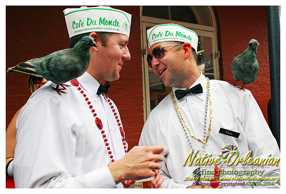 mardi_gras_day_french_quatrter_2008_jm_©nofp