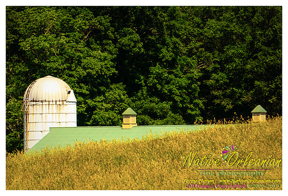 new_jersey_landscape_scenes_jm_060113_011
