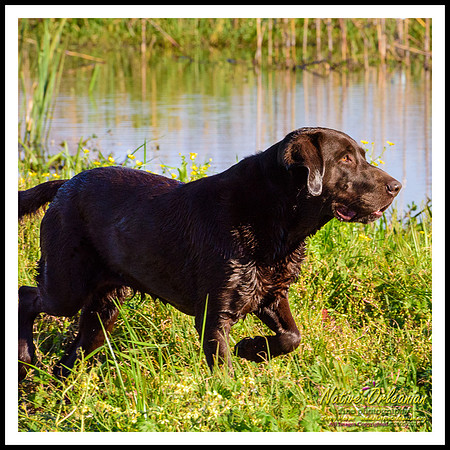 prebois_at_tbois_jm_022716_009