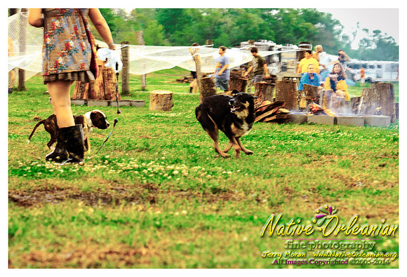 the_dogs_of_tbois_blues_fest__jm_040414_007