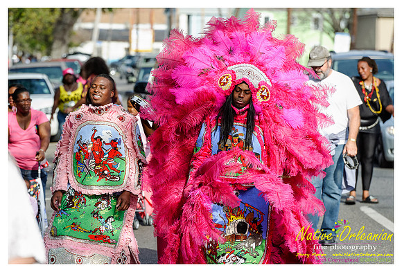 mardi_gras_monk_boudreaux_jm_022112_110