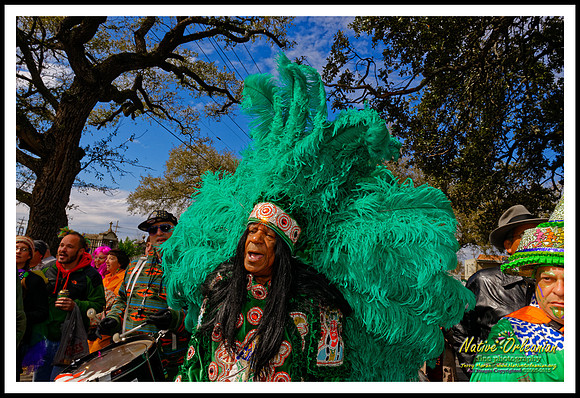 big_chief_monk_boudreaux_mardi_gras_day_jm_021715_033