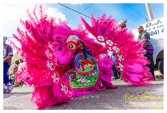 mardi_gras_monk_boudreaux_jm_022112_079