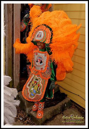 big_chief_monk_boudreaux_mardi_gras_day_jm_021715_014