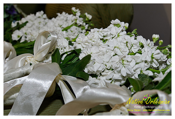 champagnewed04022011_005