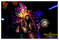 wildmagnolias_tips_jm_031112_011