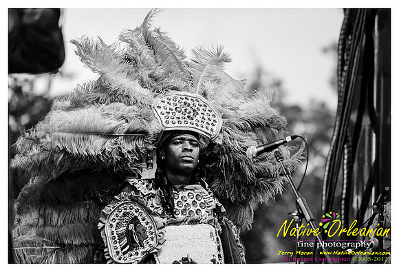 voice_of_the_wetlands_fest_jm_101412_012