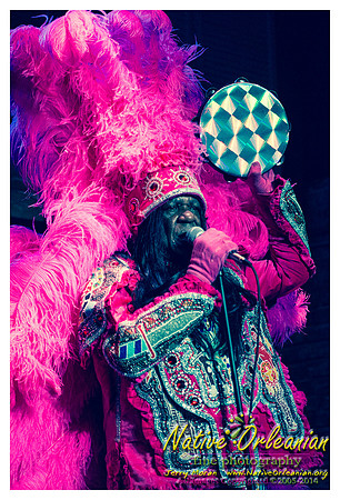 bo_dolis_jr_wild_magnolias_publiq_house_jm_082714_008