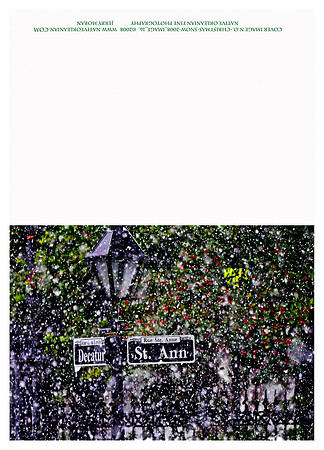holiday_cards_christmas_blizzard__jm_110912_002