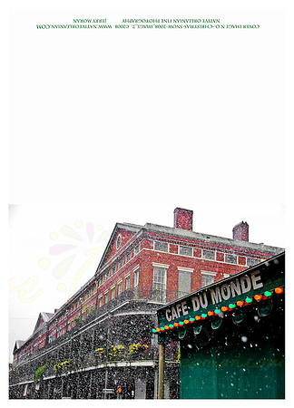 holiday_cards_christmas_blizzard__jm_110912_005