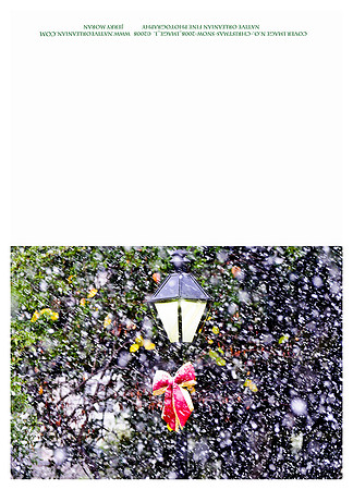 holiday_cards_christmas_blizzard__jm_110912_007