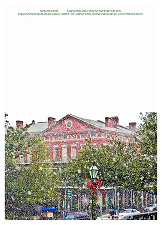 holiday_cards_christmas_blizzard__jm_110912_009