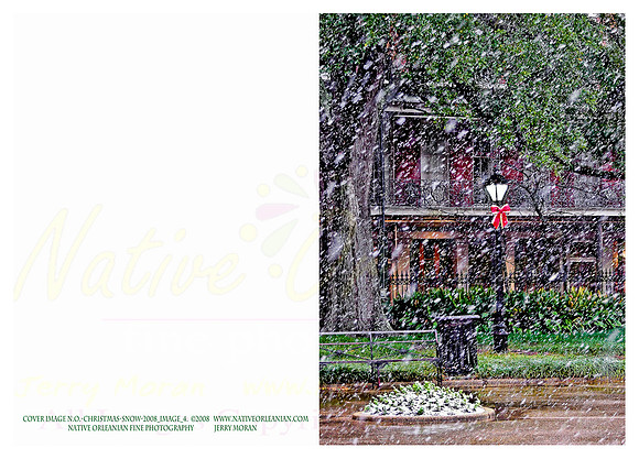 holiday_cards_christmas_blizzard__jm_110912_012