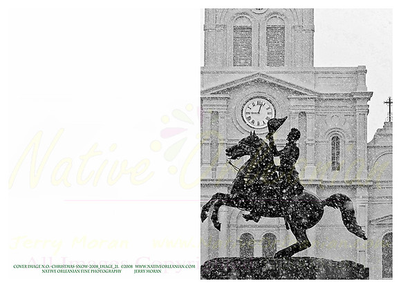 holiday_cards_christmas_blizzard__jm_110912_013