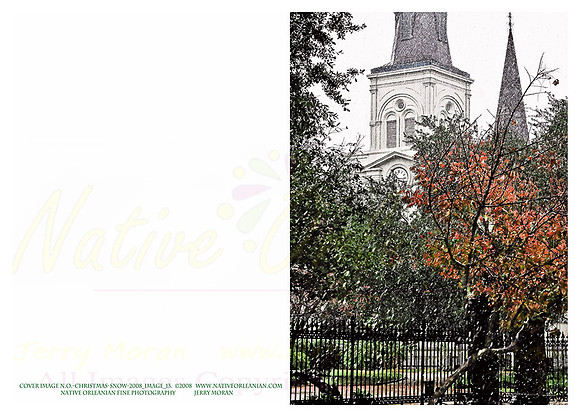 holiday_cards_christmas_blizzard__jm_110912_014
