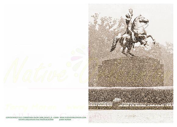 holiday_cards_christmas_blizzard__jm_110912_015
