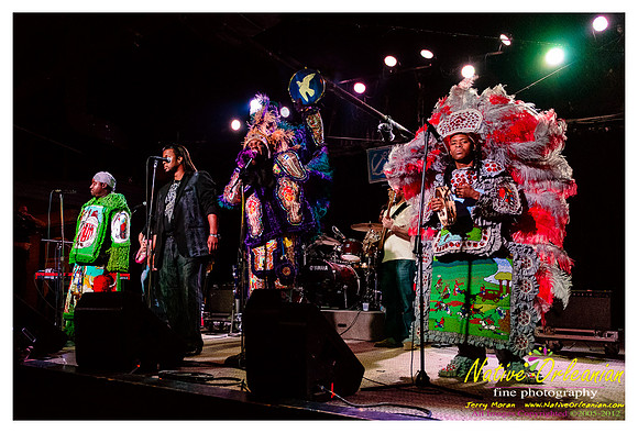shell_beach_benefit_hw_jm_111112_049