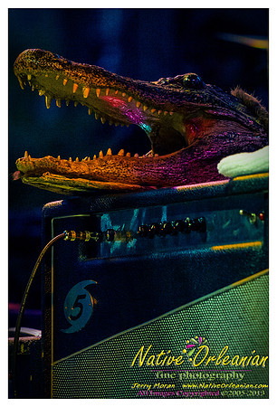 vow_allstars_harvest_the_music_lafayette_sq__jm_nofp_102313_010