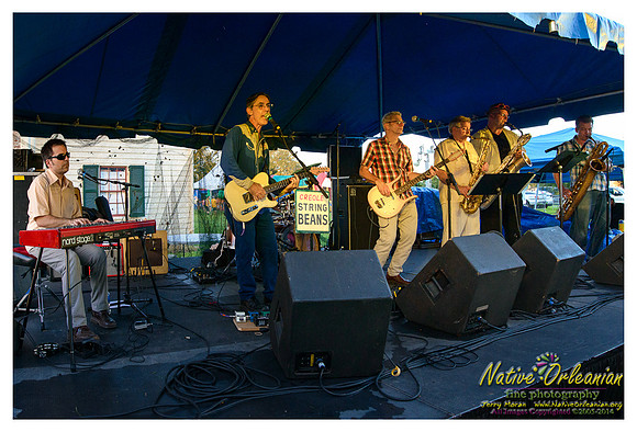 creole_string_beans_vow_fest_jm_101214_002
