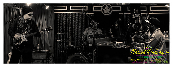 papa_mali_maple_leaf_jm_120812_004