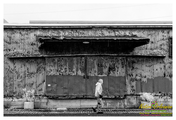 tuesday_afternoon_jm_010813_001