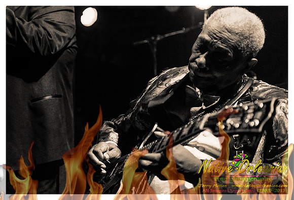 preservation_bb_king_tips_jm_012013_010