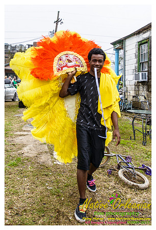 big_chief_monk_boudreaux_mardi_gras_jm_021213_001