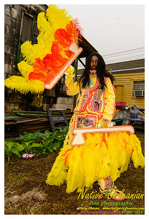 big_chief_monk_boudreaux_mardi_gras_jm_021213_027