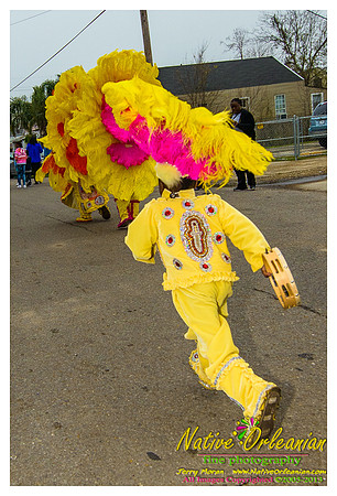 big_chief_monk_boudreaux_mardi_gras_jm_021213_040
