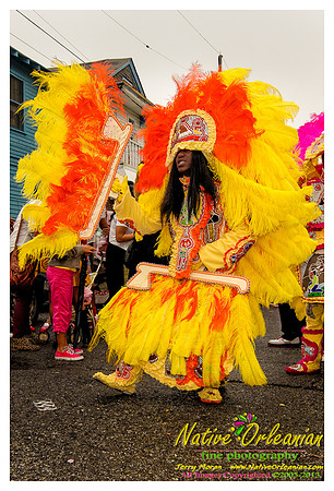 big_chief_monk_boudreaux_mardi_gras_jm_021213_070