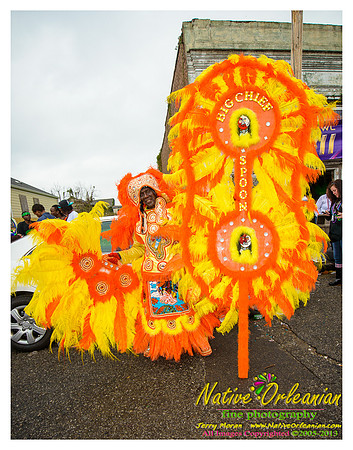 big_chief_monk_boudreaux_mardi_gras_jm_021213_071