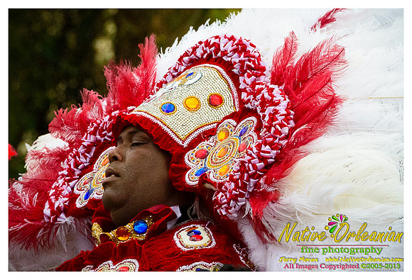 big_chief_monk_boudreaux_mardi_gras_jm_021213_086