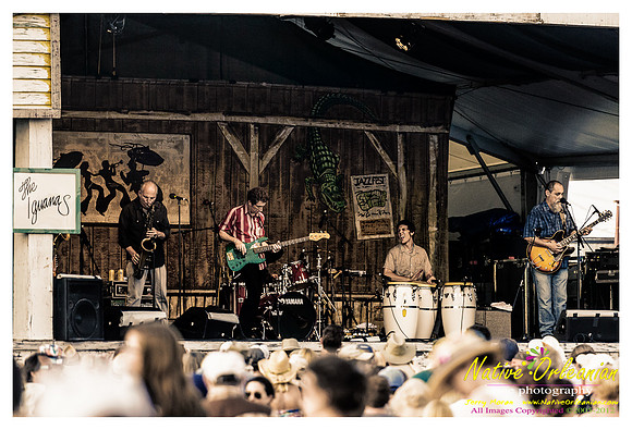 the_iguanas_jazz_fest__jm_050312_005