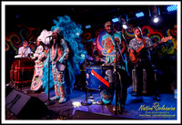 big_chief_monk_boudreaux_blue_nile_jm_062516_002