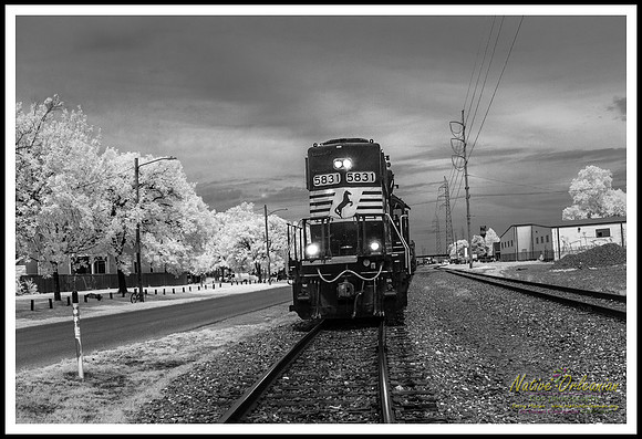 infrd_press_st_railway_bywater_nola_jm_091515_001