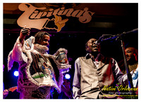 wildmagnolias_tips_jm_031112_020