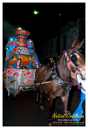 krewe_du_vieux_Feb_04_2012_jm_013