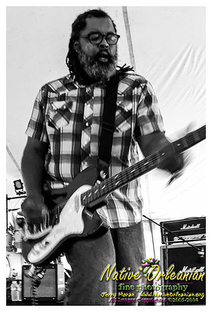 alvin_youngblood_hart_tbois_blues_fest_jm_040414_009