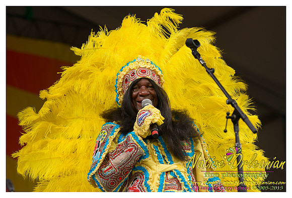 voice_of_the_wetlands_allatars_jazz_fest_jm_042713_015