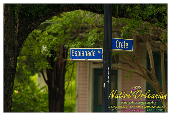 jazz_fest_scenes_jm_050313_001