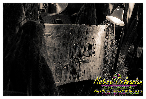 alvin_youngblood_hart_tbois_blues_fest_jm_040414_004