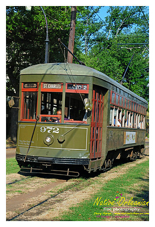 New Orleans Scenes
