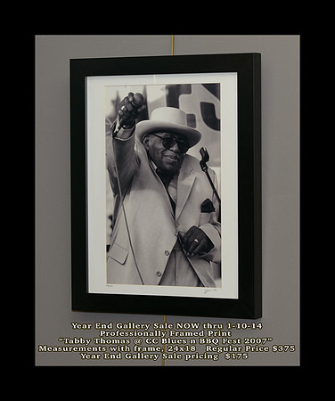 framed_print_year_end_gallery_sale_jm_122914_006