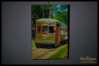 st_charles_ave_streetcar_2008_16x24_gallery_wrapped_canvas_jm_nofp©