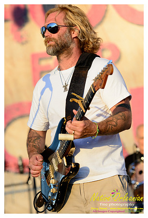 hogs_4_cause_jm_032412_019