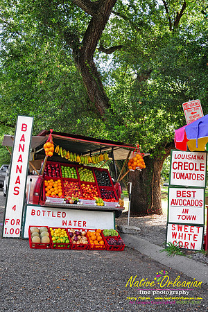 New Orleans Scenes