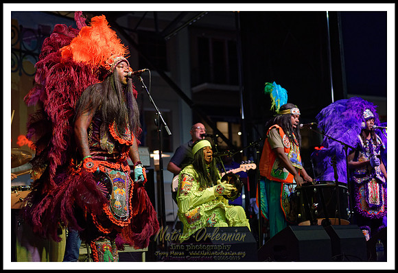 big_chief_monk_boudreaux_ge_fqf_jm_041523_024