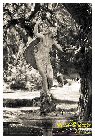 aud_park_noscene_Jan_07_2011_jm_001
