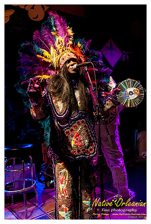 wildmagnolias_tips_jm_031112_010
